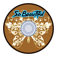 So Beautiful cover