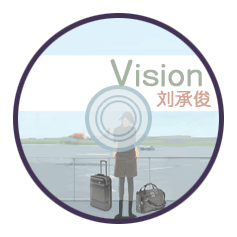 Vision cover